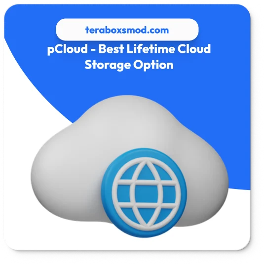 pCloud is a top-rated, secure, and established provider offering, for a one-time payment, lifetime access to 500 GB, 2 TB, or 10 TB of cloud storage